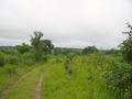 #8: Road leading to the Confluence