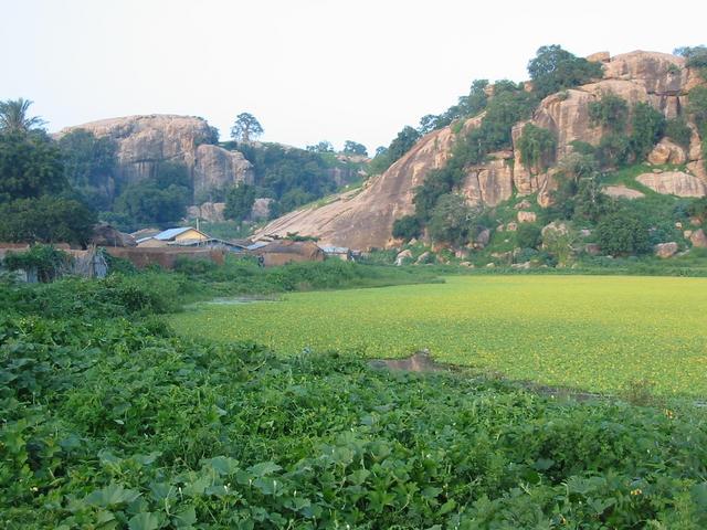 Village Miya