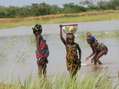 #8: Fulani girls at a water reservoir