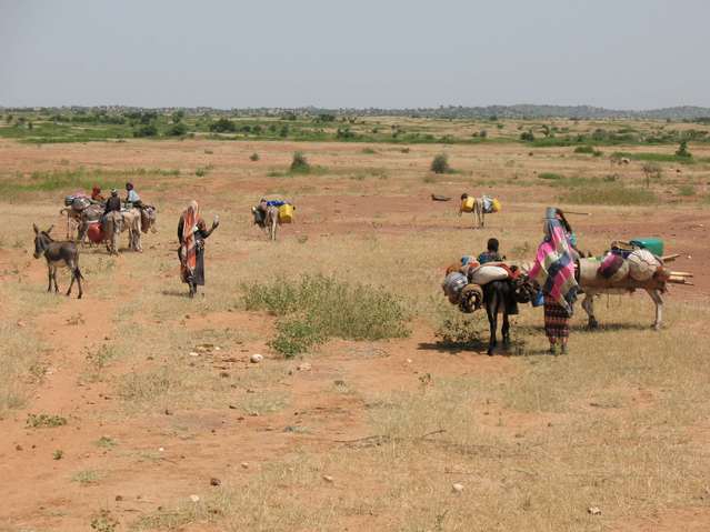 Fulanis moving towards confluence 13N 7E in the Republic of Niger