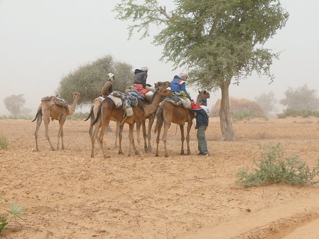 The cameleers heading north to Niger, chatting with Chris