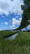 #6: Allee Richtung Norden/ Parkbucht vorher auf rechter Seite 