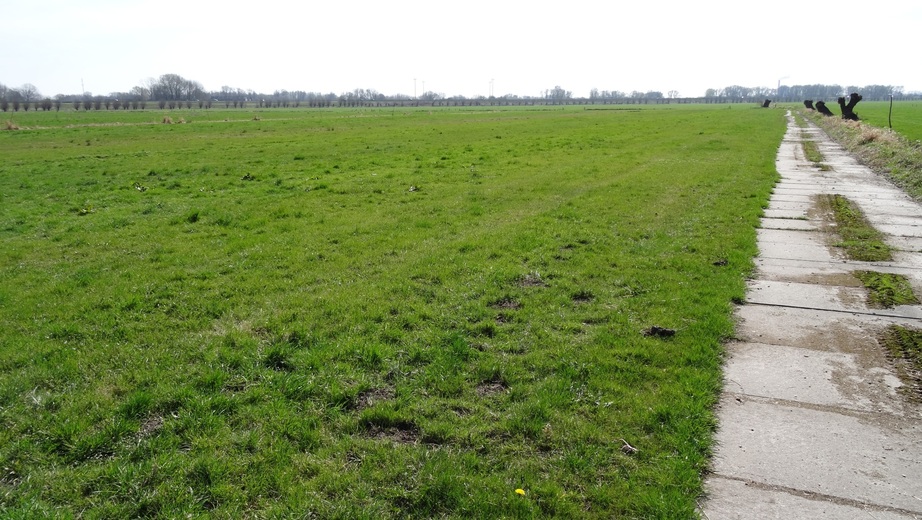 Area of 52N 6E from a distance of 100 m