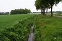 #8: Drainage channel along the field