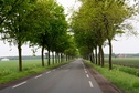 #9: Typical Dutch road in this area