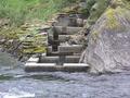 #4: Spawning salmon can pass this dam using a fish ladder