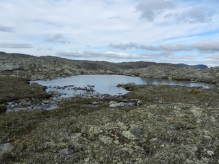 #1: This little pond is just 10 m north of the point