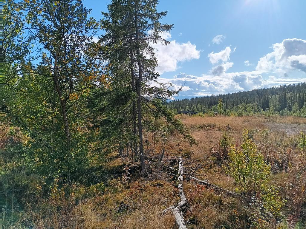 Osten; view east