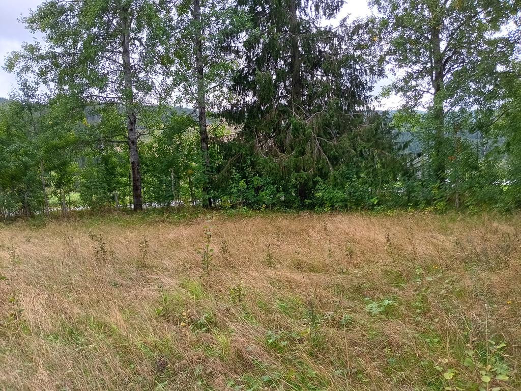 Süden; view south