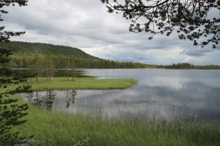 lake Tolgesjöen