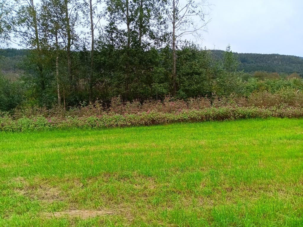 Norden; view north