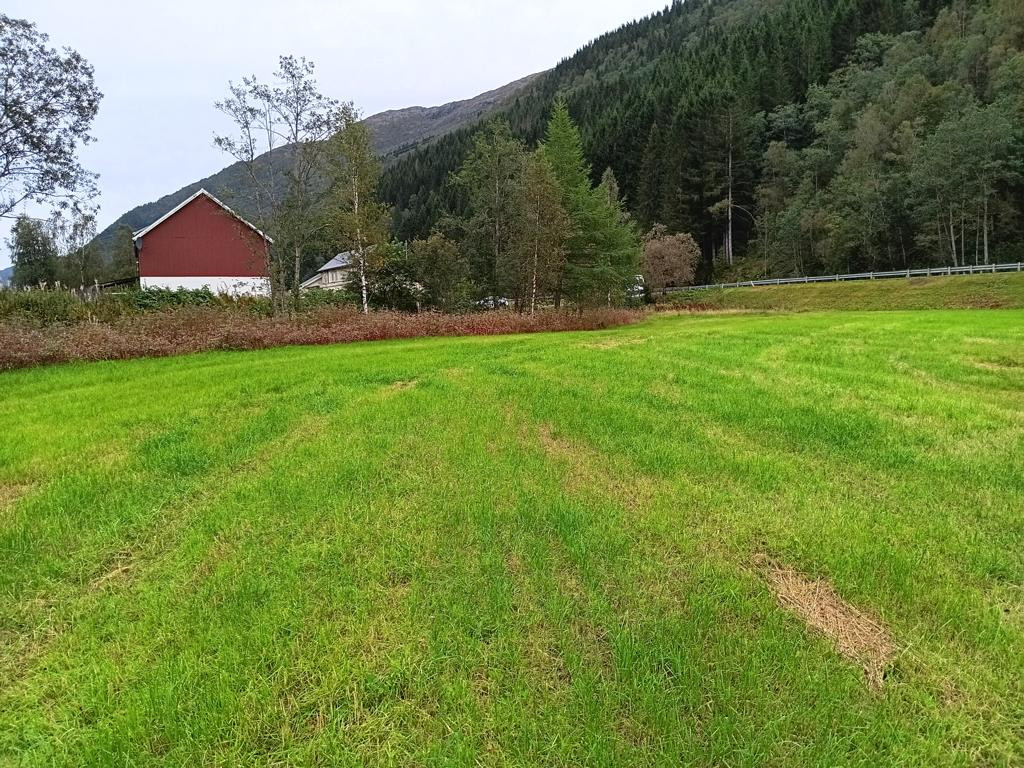 Osten; view east