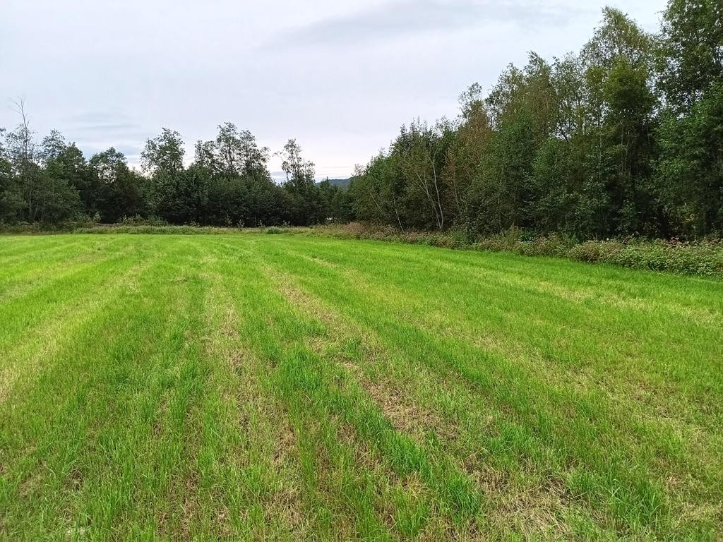 Westen; view west