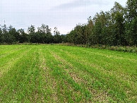 #4: Westen; view west