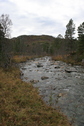 #8: river 50m west of the confluence