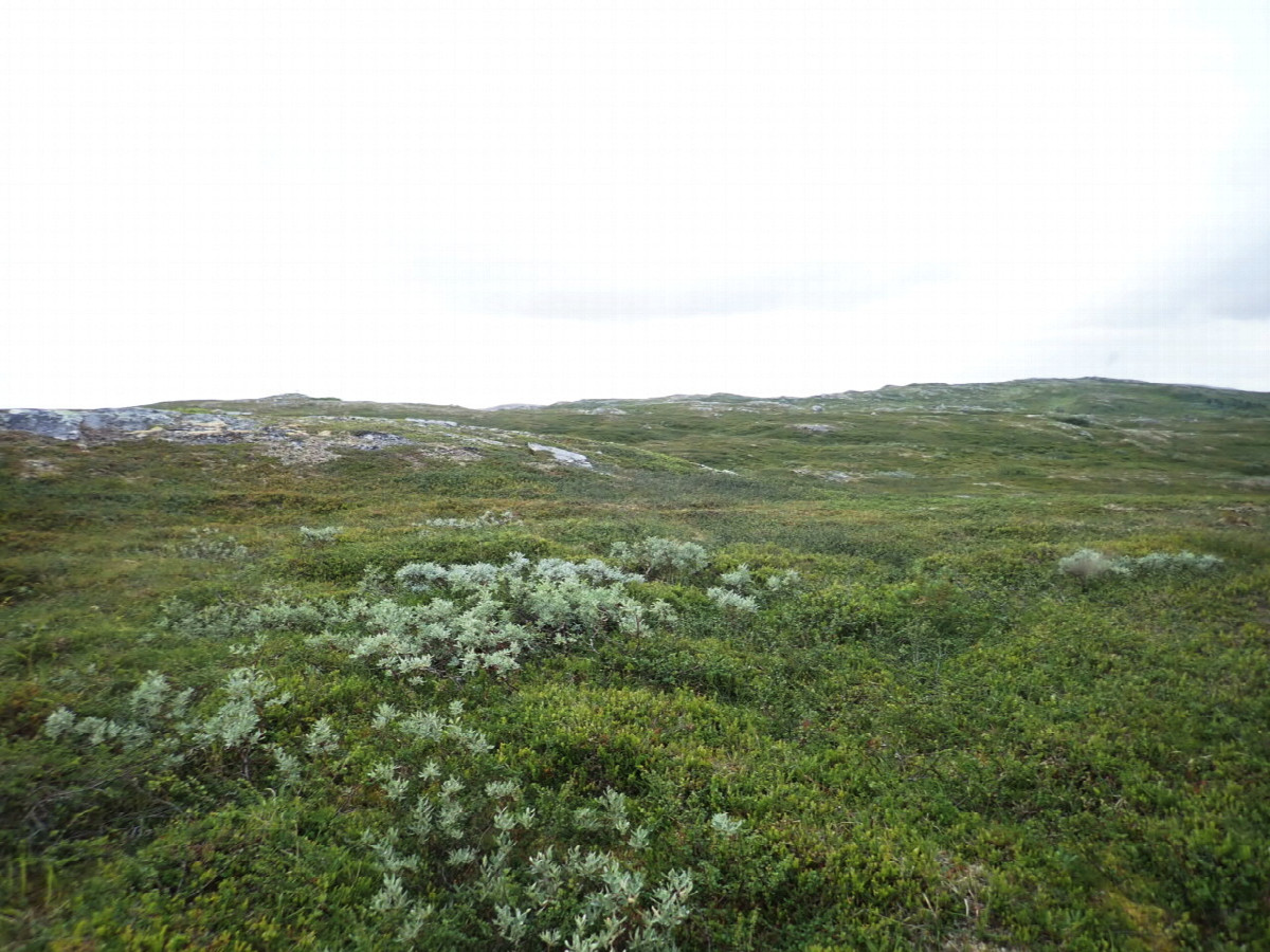 East view / Ösiliche Sicht