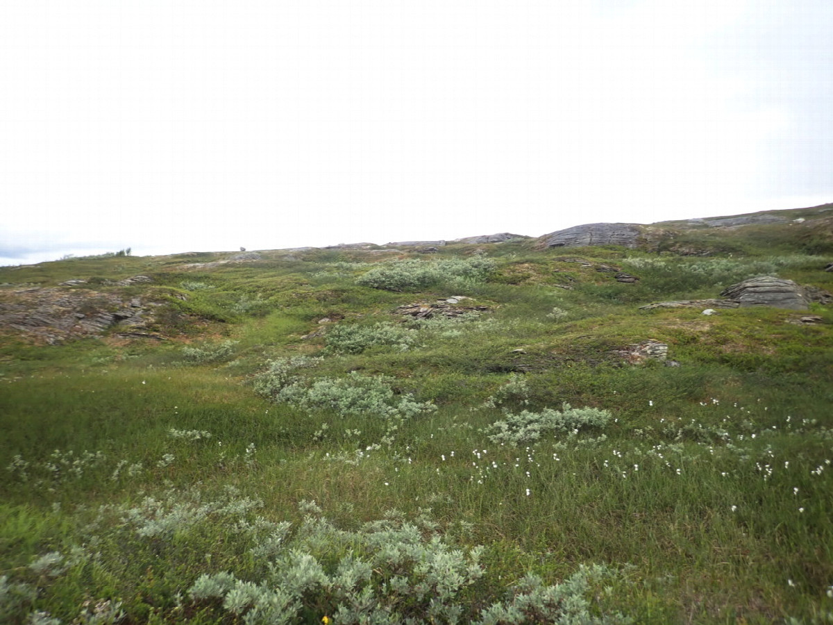 West view / Westliche Sicht