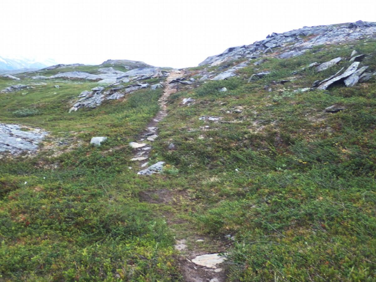 Near from the Point / In der Nähe des Punktes