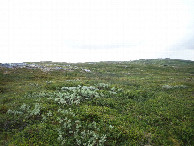 #3: East view / Ösiliche Sicht