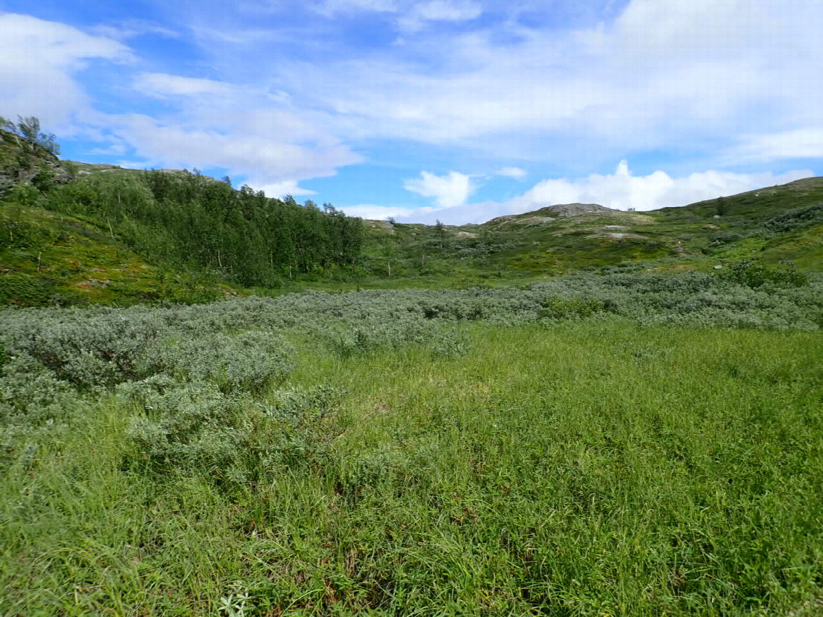 East view / Östliche Sicht
