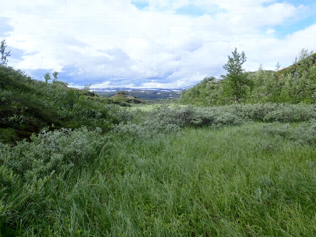 West view / Westliche Sicht
