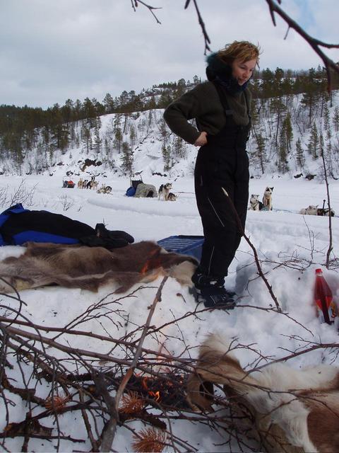 Lunch break by the fire on reindeer skins, Kari and the dogs