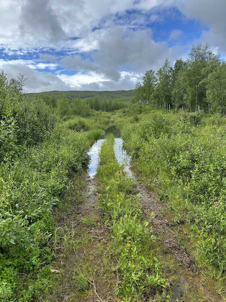 Way to the Confluence