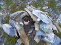 #7: The cairn with the empty tin