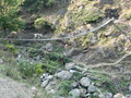 #4: The mule train crossing the suspension bridge at Khaulighat