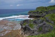 #2: Another view of the coast of Niue, 8.86 km from the confluence point (which lies off the left-hand side of this photo)