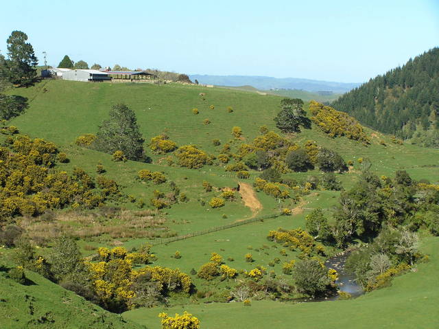 View to the southwest from the confluence toward the Tasman Sea showing the nearest ranch house.