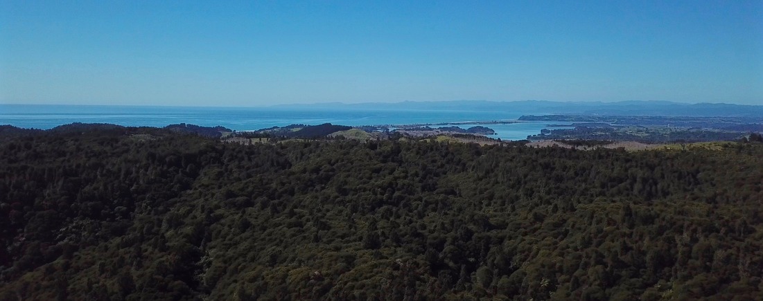 View East from about 100 m above the point: Ohope Beach
