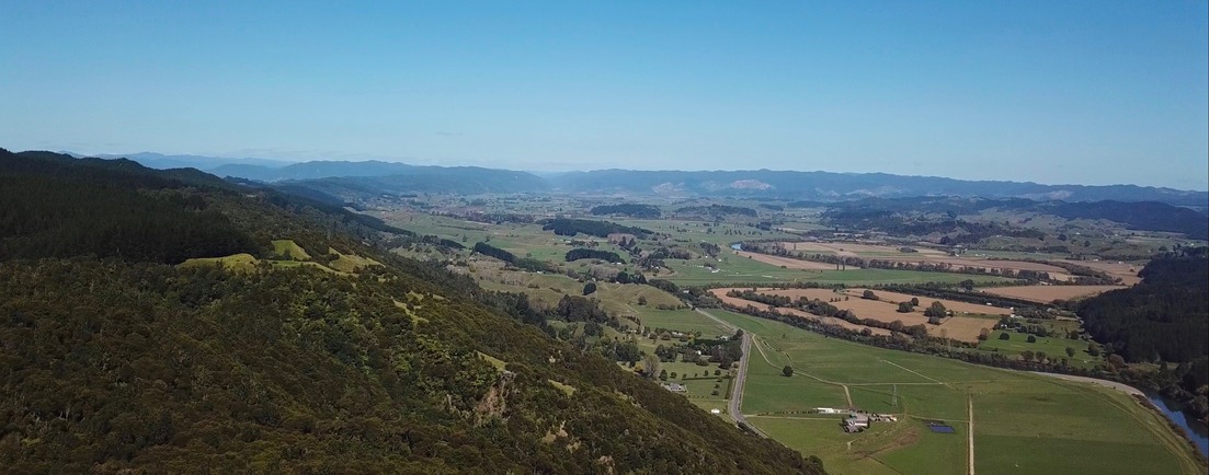 View South from about 100 m above the point: Native bush, farmland, and the Whakatane River