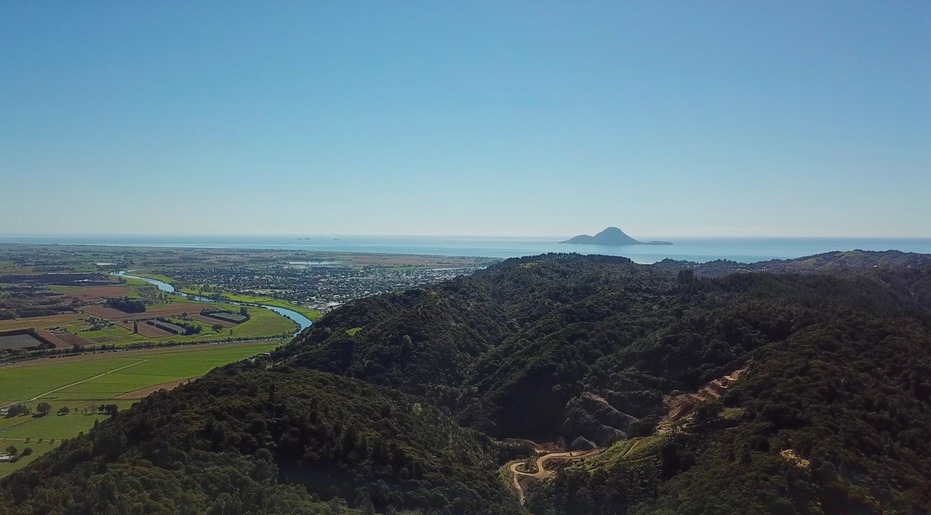 View North from about 100 m above the point: Whakatane, Bay of Plenty, Whale Island