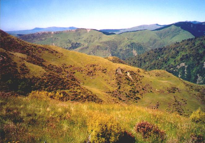 View south from confluence.