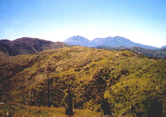 View of Mt Hikurangi taken north-east from ridgeline.
