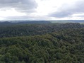#10: View North from about 100 m above the point