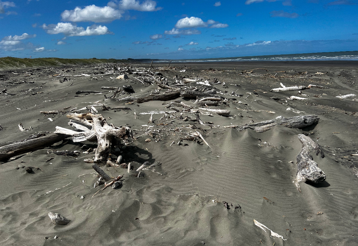 Looking along the driftwood-strewn beach towards the Degree Confluence Point