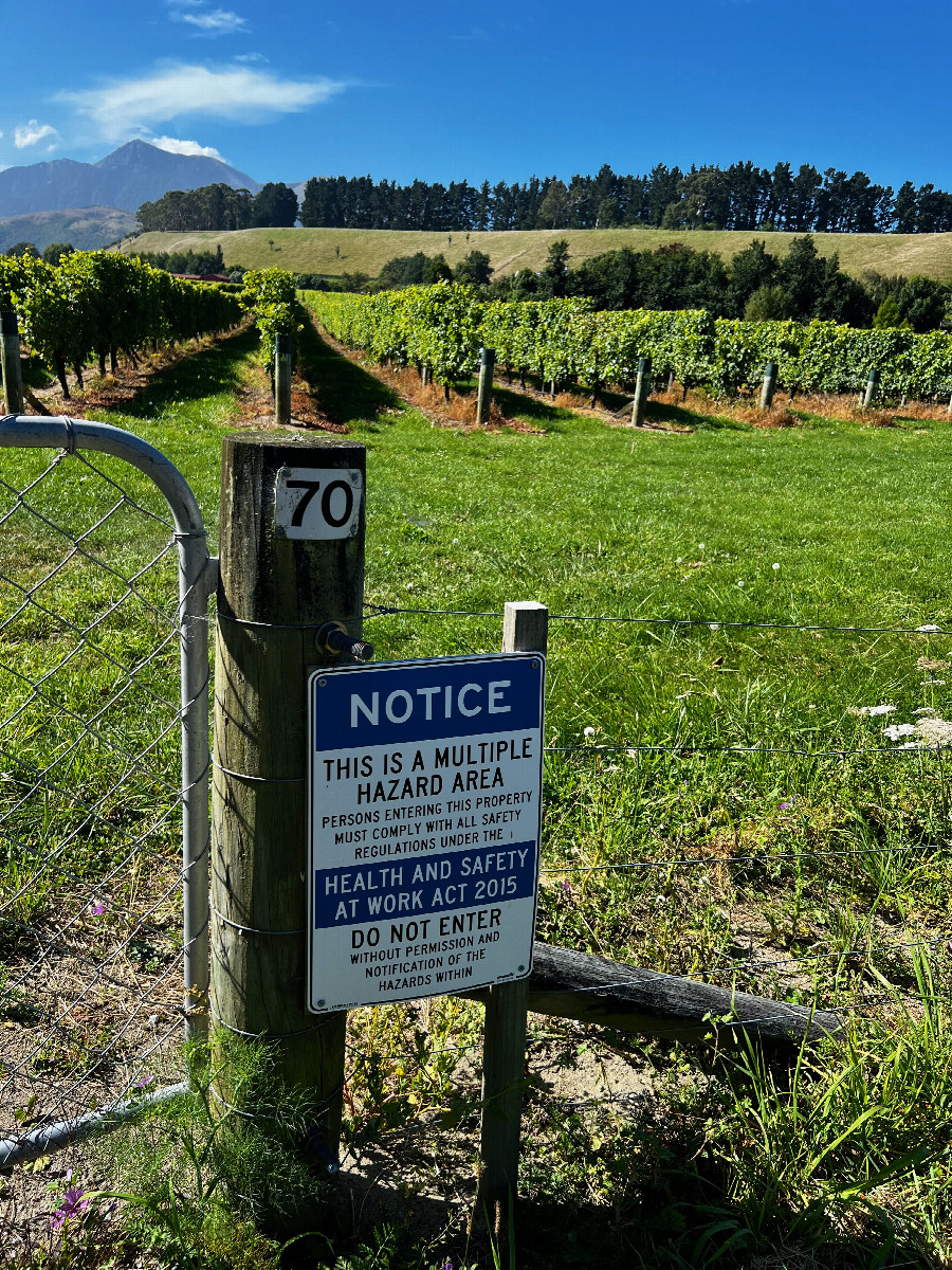 The “Do not enter” sign on the southern gate of the vineyard