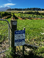 #9: The “Do not enter” sign on the southern gate of the vineyard