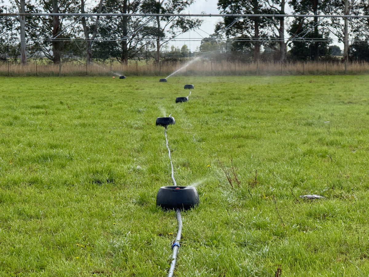 Irrigation taking place near the point