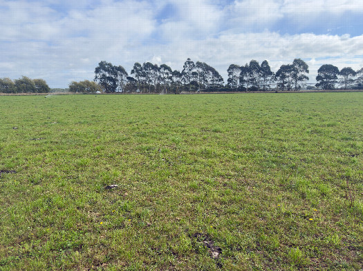 #1: The confluence point lies in a farm field - currently empty, except for irrigation equipment (This is also a view to the North.)