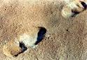 #3: Footprints show something of the surface's cement powder consistency