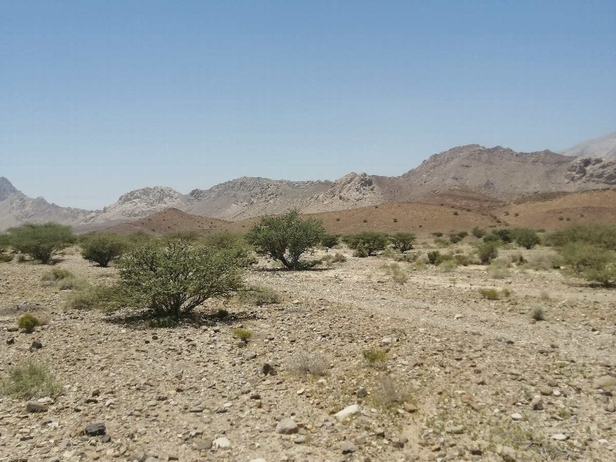 CP 23&deg;N 57&deg;E