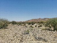#4: South view