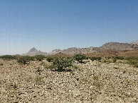 #5: West view