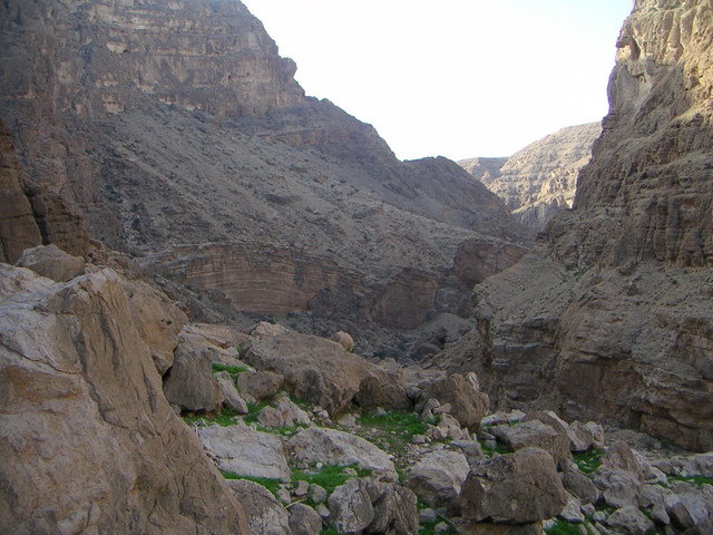 Direct route up Wādiy Suwayh