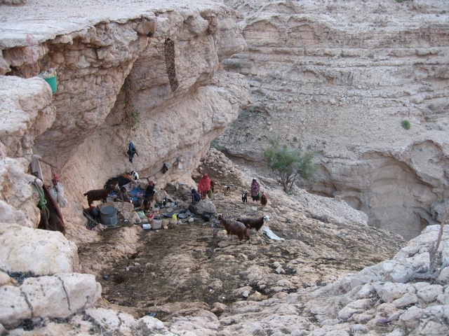 Bedouin camp near the confluence point