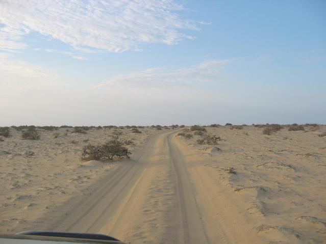 En route: in the desert of Sechura
