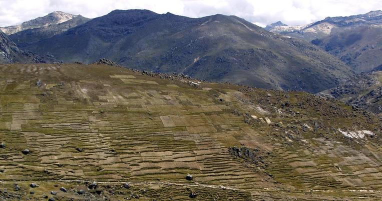 Incan terracing and road